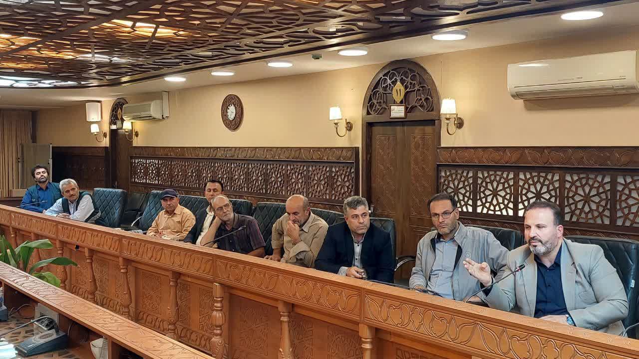 شورای شهر گرگان بر ساماندهی وضعیت تاکسی‌ها تأکید کرد - 6