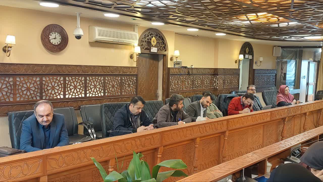 تأکید اعضای کمیته اجتماعی بر نقش فعالیت&zwnj;های فرهنگی در کاهش آسیب&zwnj;های اجتماعی گرگان - 6