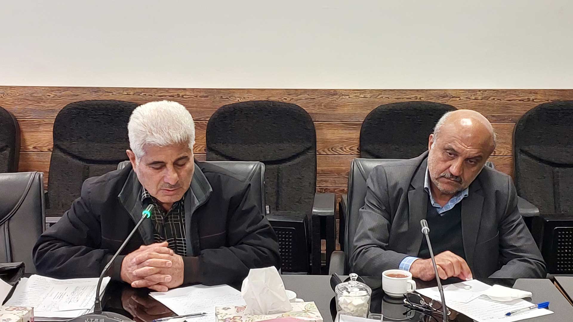 معابر بی نام سطح شهر گرگان، در کمیته فنی نامگذاری شورا نامدار می&zwnj;شوند - 5