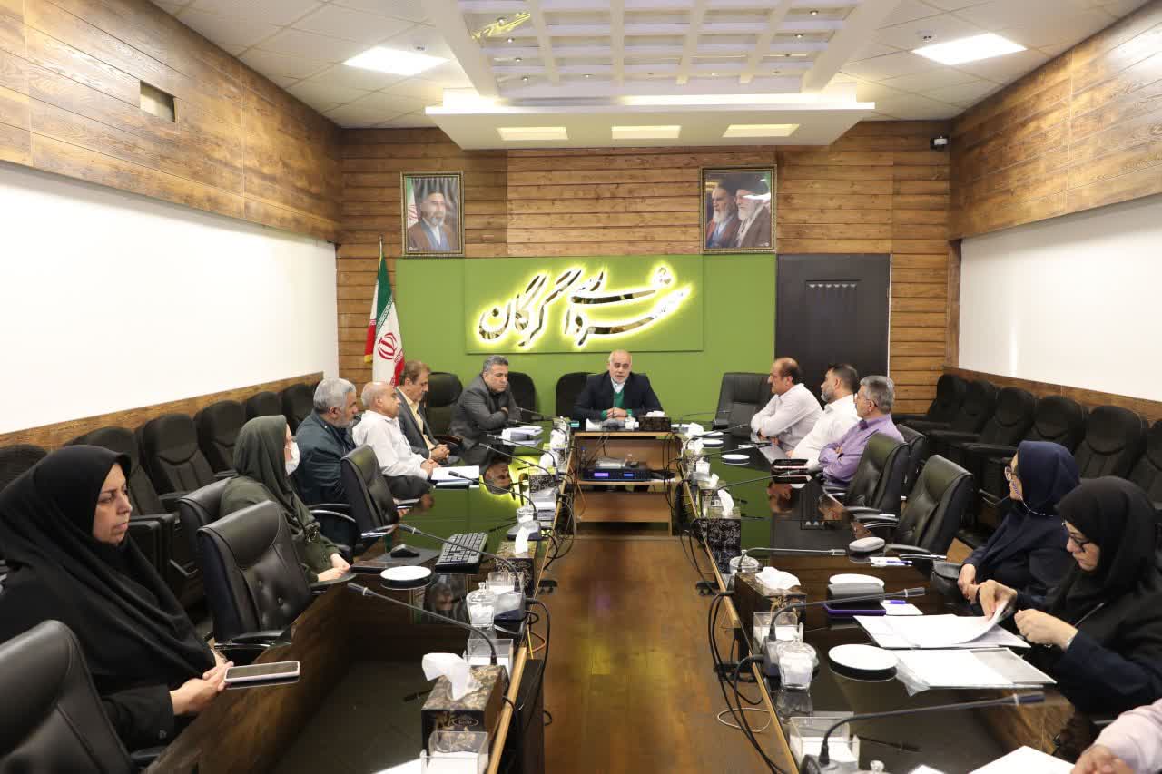 بررسی پیشنهادات جدید نامگذاری معابر گرگان با نام مشاهیر در کمیته نامگذاری شورا - 5