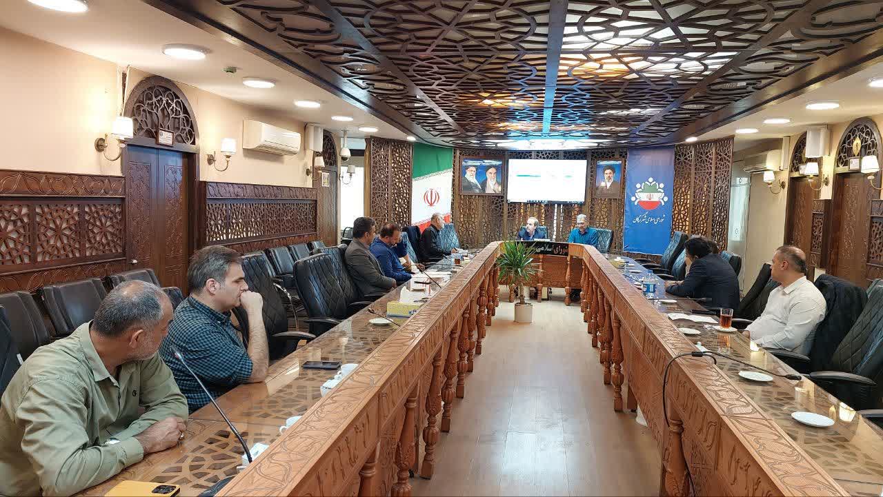 خودروهای برقی و روکش معابر در کمیسیون مالی شورا بررسی شد - 5